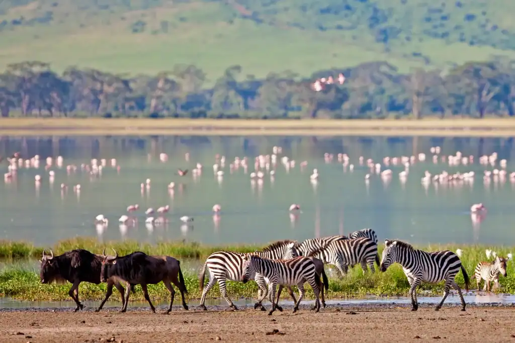 tanzania-07