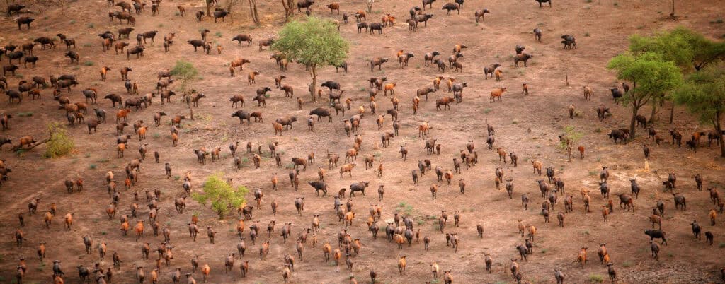 Zakouma National Park