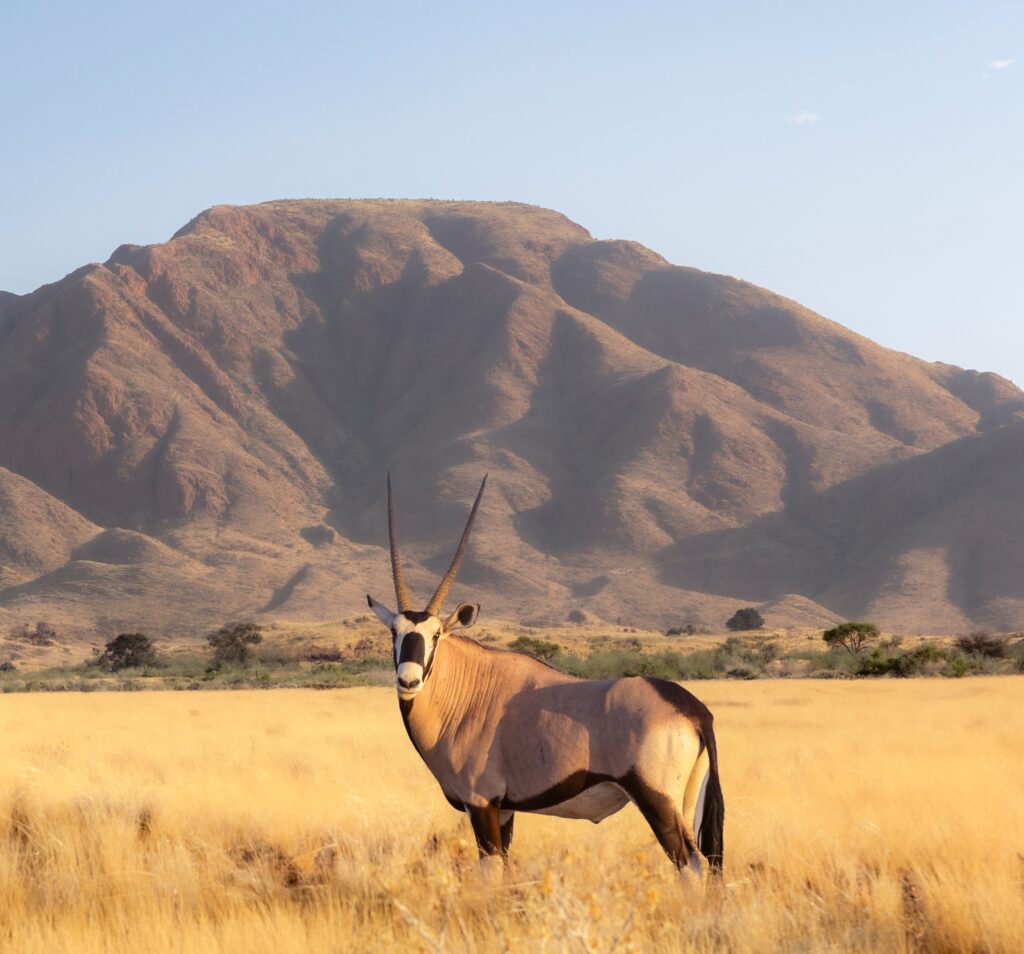 Namibia8